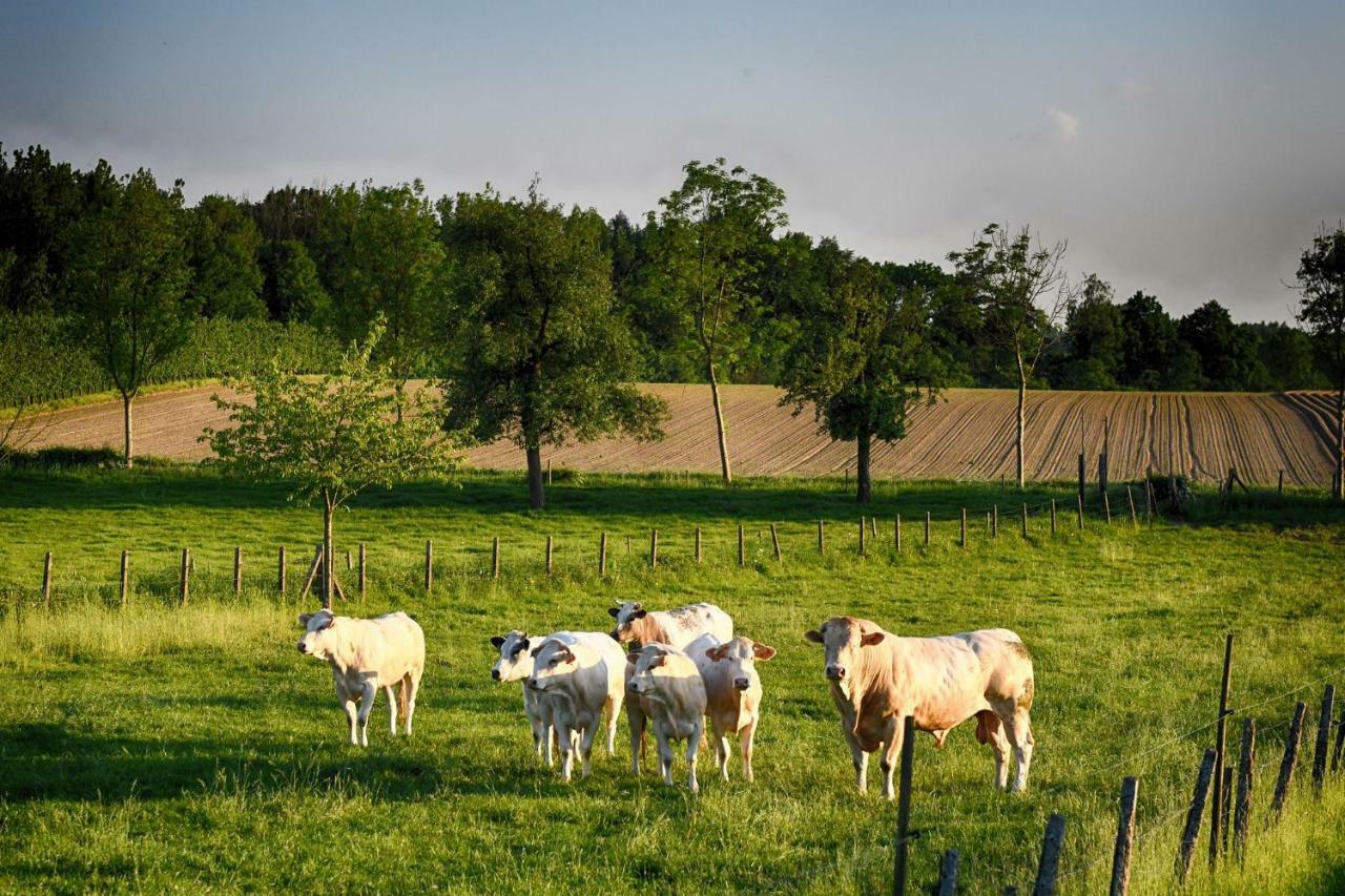 B&B De Bloesem Hoeselt Kültér fotó